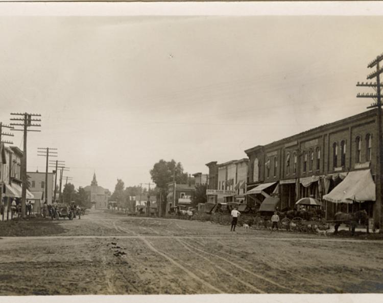 Local History Community District Library